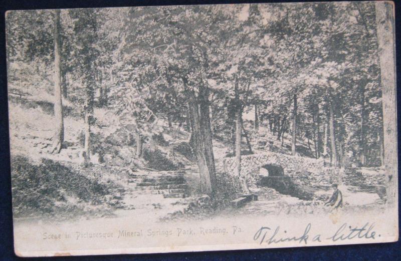 Scene In Picturesque Mineral Springs Park Reading PA 1905 Mt Penn Souvenir Card