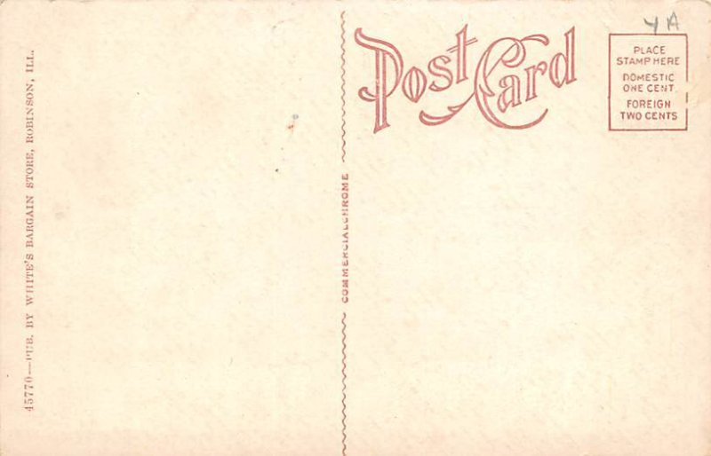 City Hall And Fire Dept Robinson IL USA Postcard