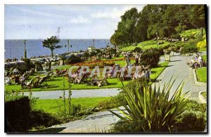 Old Postcard The Cliff Gardens Westcliff on sea