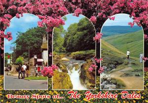 BR89106 the yorkshire dales  uk