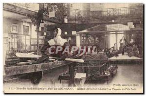 Old Postcard Polar Oceanography Museum in Monaco Kajak groenlandain The Pengu...