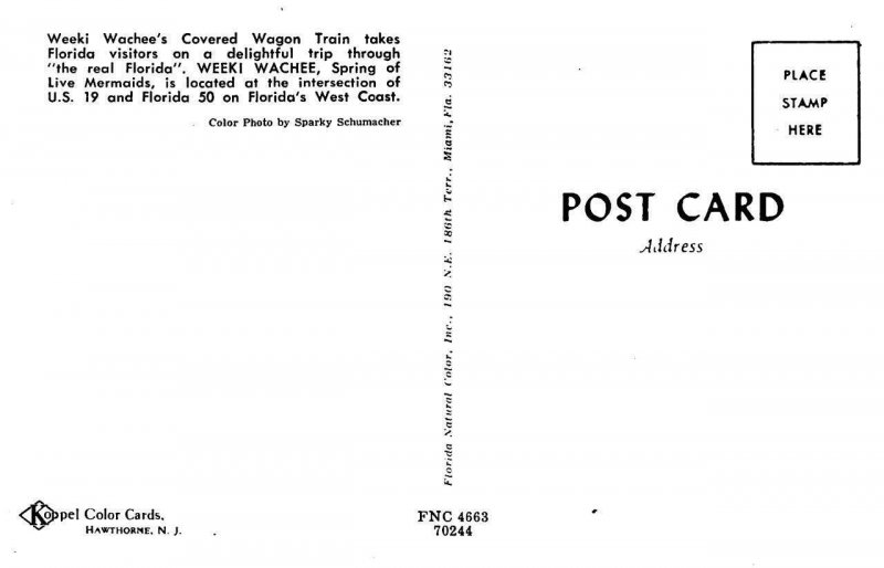 3Postcards FL Florida WEEKI WACHEE Glass Bottom BoatWagon Train