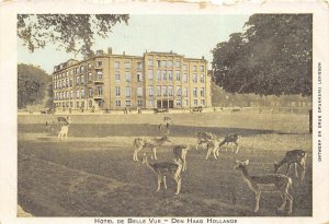 Den Haag (The Hague) Holland Netherland c1915 Postcard Hotel De Belle Vue Deer