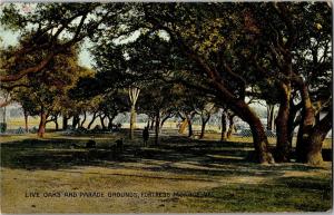 Live Oaks and Parade Grounds Fortress Monroe VA Vintage Postcard R01
