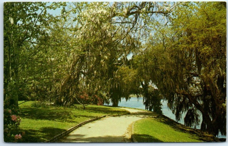 Postcard - Magnolia World's Most Beautiful Garden - South Carolina