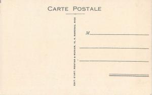 France Orange tree Cote d`Azur postcard