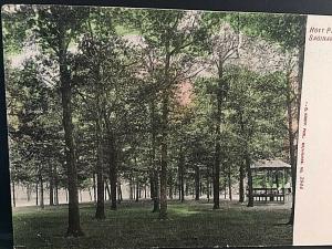 Postcard Antique View of Hoyt Park in Saginaw, MI.   U6