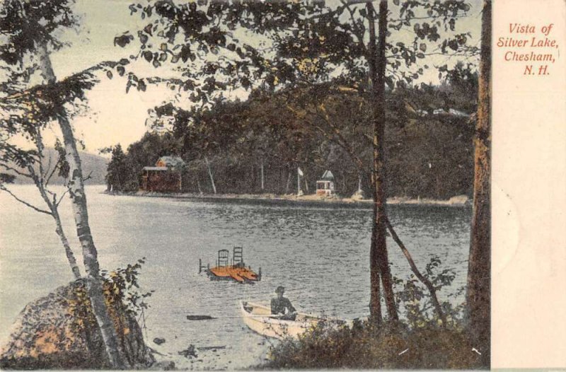 Chesham New Hampshire Silver Lake Vista Vintage Postcard AA20803