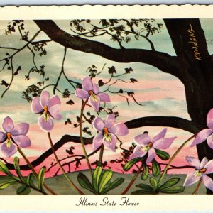 1967 IL Illinois State Flower Violet Tree Sunset Ken Haag Painting Art PC A335