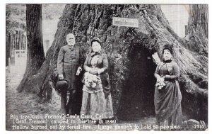 Santa Cruz, Cal., Big tree Gen'l Fremont