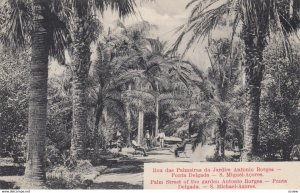 Azores , PORTUGAL , 00-10s ; Rua das Palmeoras do Jardin Antonio Borges