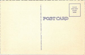 Smithsonian Institution Washington DC Linen Postcard VTG UNP Curteich Vintage 