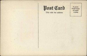 FRANCE French Flag Notable Information Antique Postcard