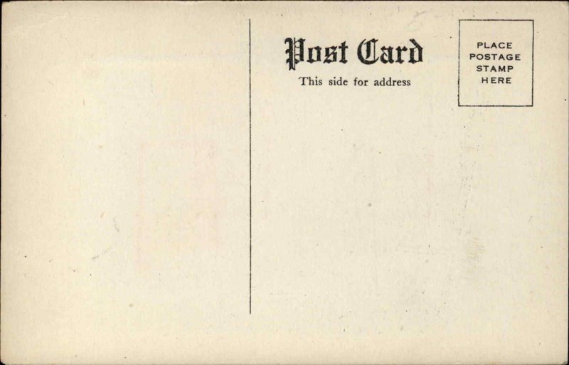 FRANCE French Flag Notable Information Antique Postcard