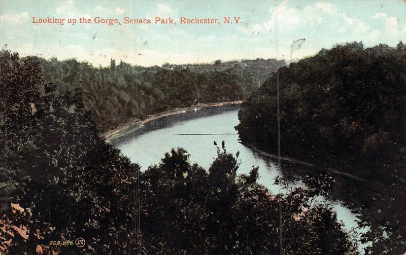 ROCHESTER NEW YORK~SENECA PARK-LOOKING UP THE GORGE~1908 VALENTINE POSTCARD