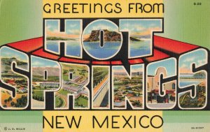 Greeting from Hot Springs, New Mexico Vintage Linen Postcard