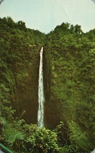 Vintage Postcard Akaka Falls Clear Water Falls Park Near City of Hilo