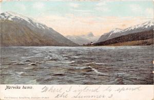 NORDLAND NORWAY NARVIKS HAMN-AXEL ELIASSONS PUBL POSTCARD 1905