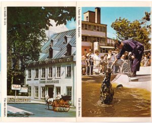 Greetings From Quebec City, Vintage Chrome Folder Postcard, 14 Views