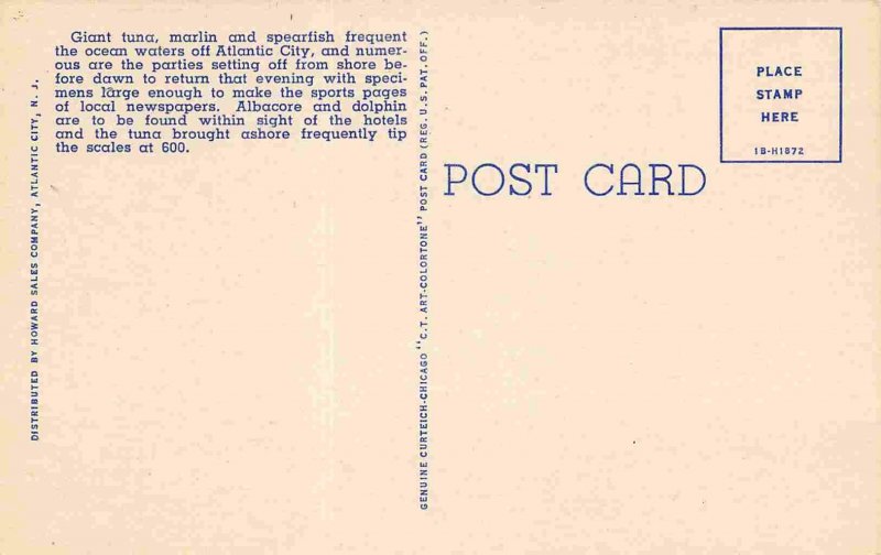 Atlantic City New Jersey Multi View linen postcard