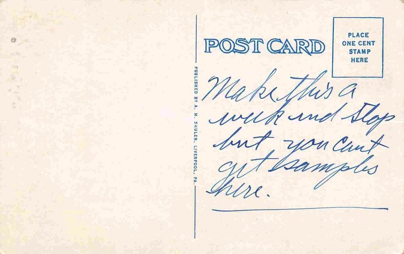 Owens House Liverpool Pennsylvania 1920s postcard