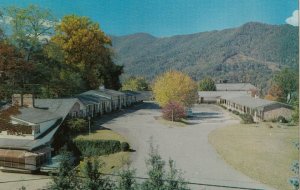 WAYNESVILLE , North Carolina, 1950-60s ; Oak Park Motor Inn