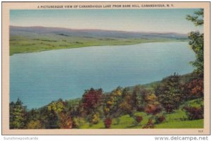New York Canandaigua Lake From Bare Hill