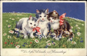 Birthday German Kitty Cats Kittens in Field Vintage Postcard