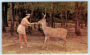 WISCONSIN DELLS, WI ~ Native American WISCONSIN DEER PARK c1960s-70s  Postcard