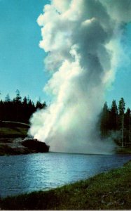 Yellowstone National Park Riverside Geyser Upper Geyser Basin 1962