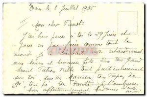 Old Postcard Cats Cat Kitten