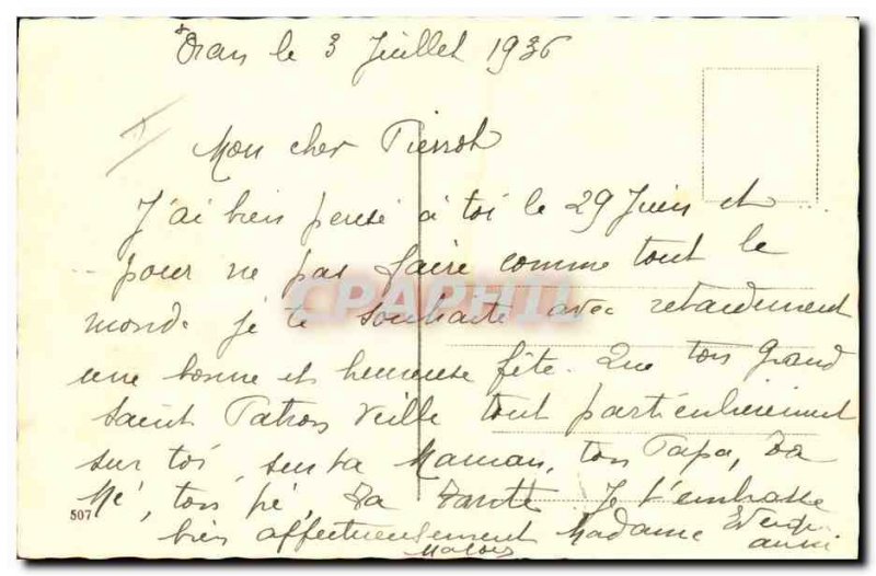 Old Postcard Cats Cat Kitten