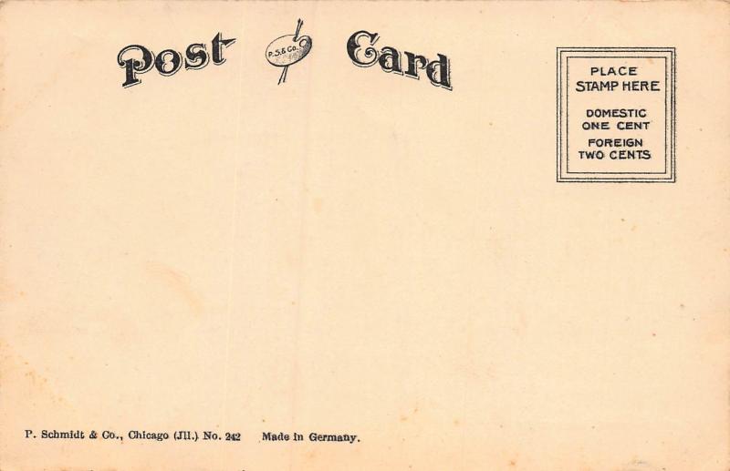 Grand Boulevard, Chicago, Illinois, Early Postcard, Unused