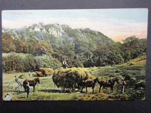 Devon CHUDLEIGH ROCK Harvest Time Gathering Hay in Field c1905 by Valentines