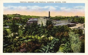 cuba, HAVANA, Tropical Brewery and Gardens (1940s) Postcard