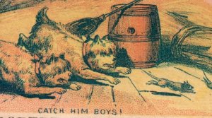 1880s Robert Berberich Mfg Shoes Washington DC Cute Dogs Fox Rat Lot Of 3 F105