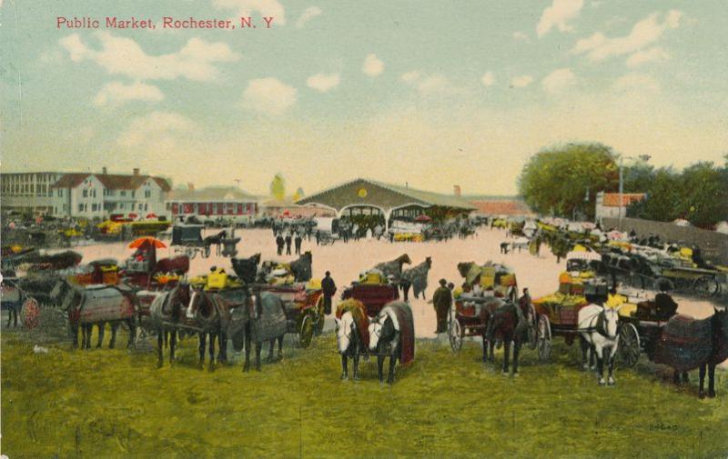 Horses and Wagons at Public Market - Rochester, New York - DB