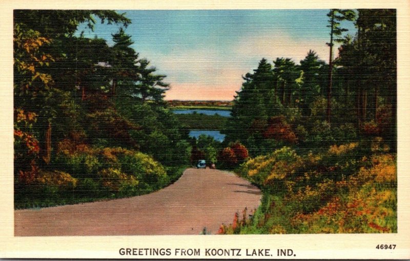 Indiana Greetings From Koontz Lake