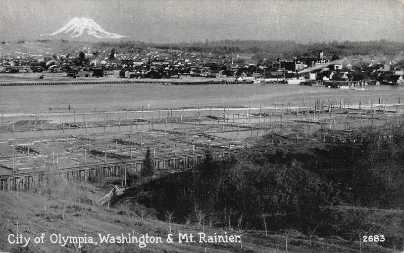 City of Olympia, Washington & Mt. Rainier, Early Postcard, Unused