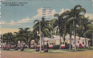 Florida Saint Petersburg Cocoanut Grove 1953