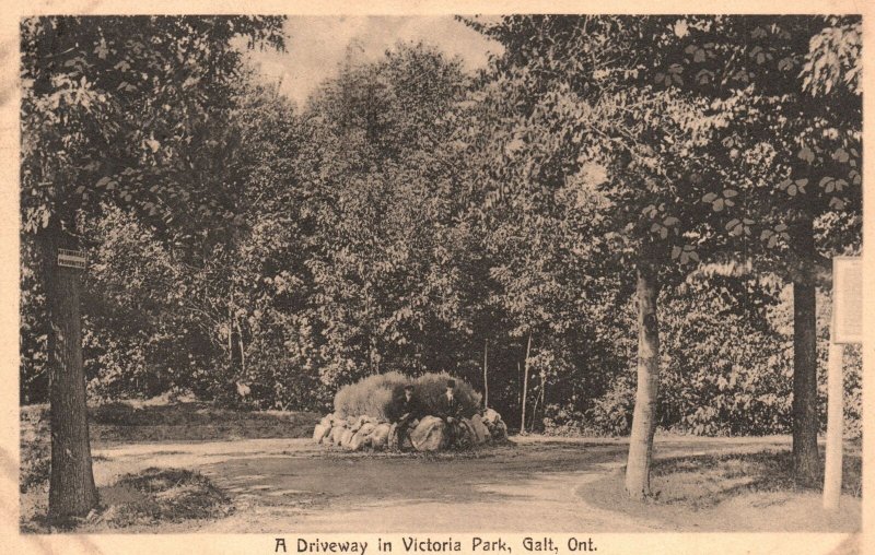 Vintage Postcard 1913 A Driveway in Victoria Park Galt Cambridge Ontario Canada