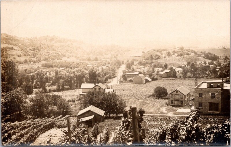 Real Photo Postcard Birds Eye View of Naples, New York