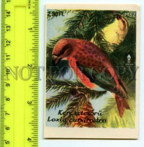 500285 HUNGARY Bird Loxia Curvirostra Vintage match label