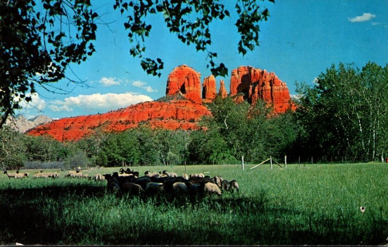 Arizona Oak Creek Canyon Courthouse Rock 1960