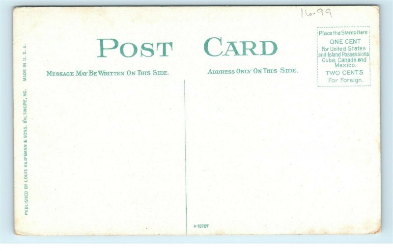 Norfolk Virginia VA Weighing Cotton Vintage Postcard E56