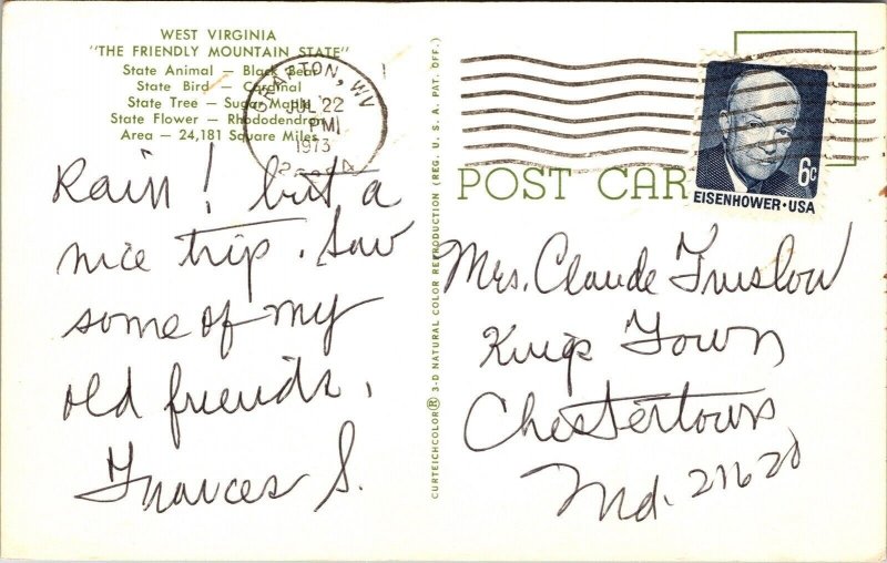 West Virginia Greetings Black Bear Hinton Franklin Romney Charleston Postcard 