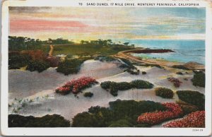 Sand Dunes 17 Mile Drive Monterey Peninsula California Vintage Postcard C181