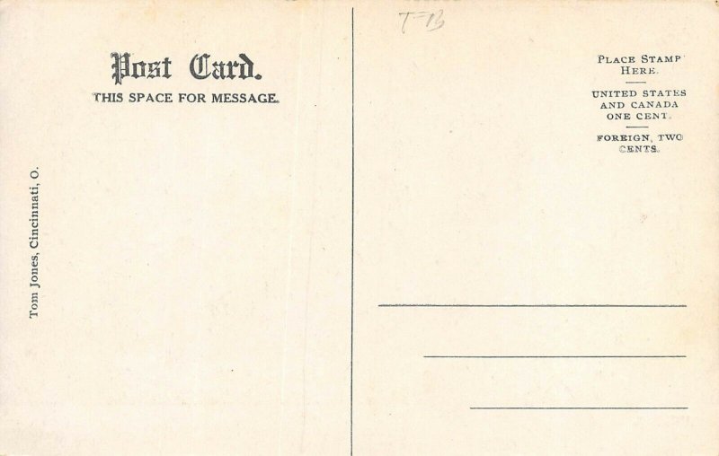 LP11     Canton Ohio McKinley Cemetery  Postcard  