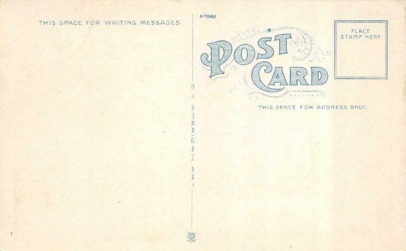 AUGUSTA, Georgia GA     LENWOOD HOTEL     c1920's Postcard