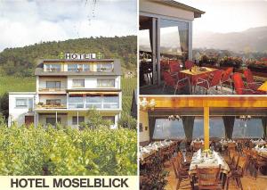 BG12480 hotel moselblick wintrich mosel  germany